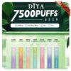 🔋DIYA叮啞拋棄式 7500口🔋